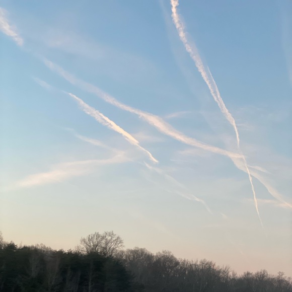 Meet your Posher, Ethan - Picture 1 of 1